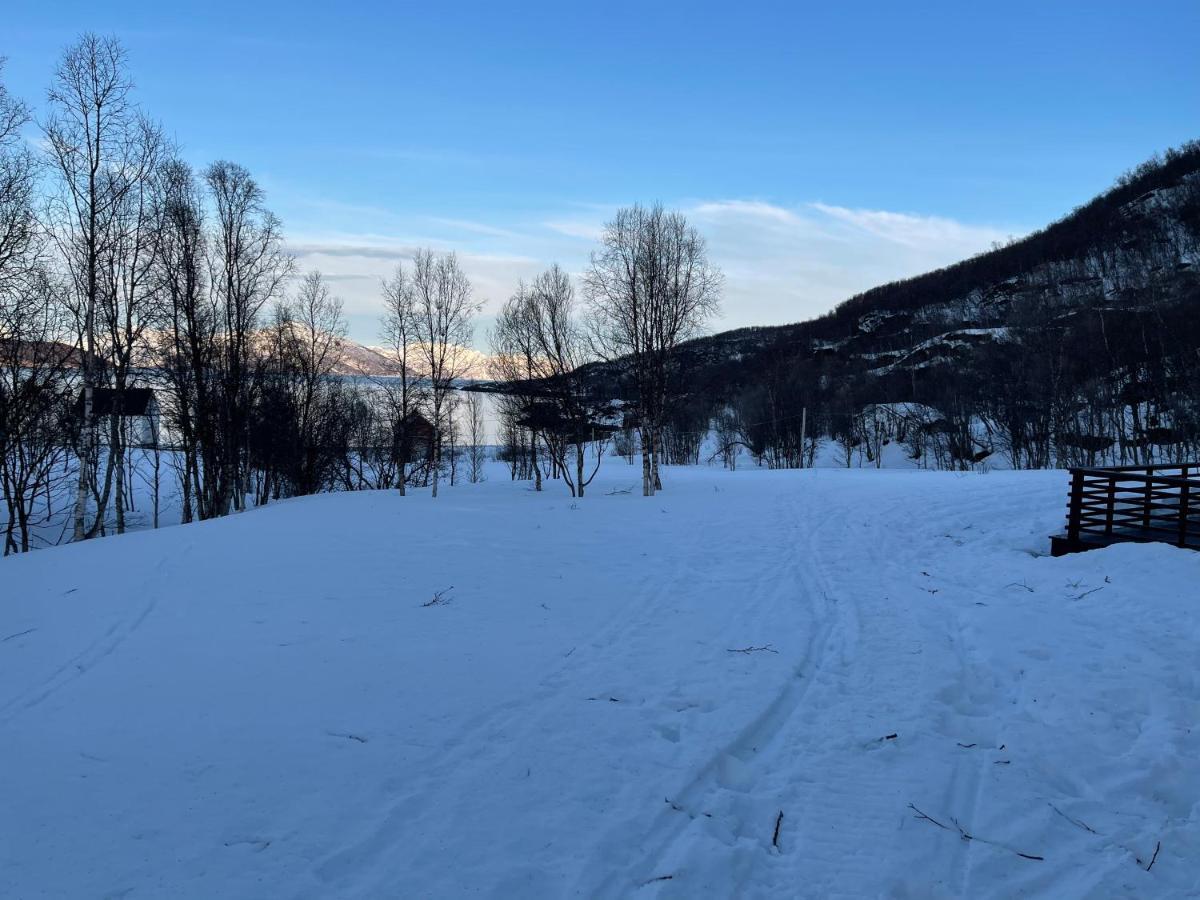 Aurora Woods Villa Skjervoy Bagian luar foto